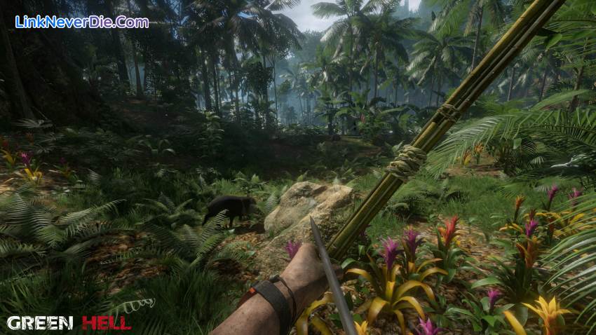 Hình ảnh trong game Green Hell (screenshot)