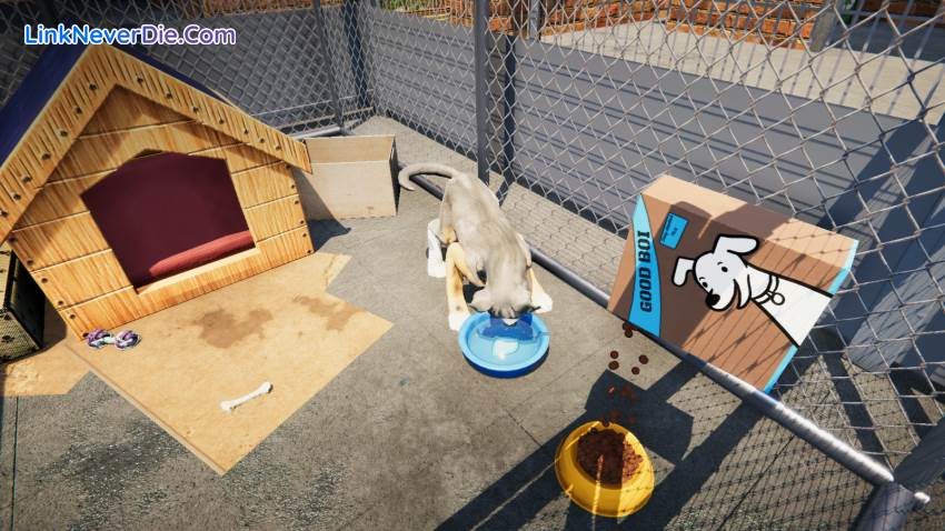 Hình ảnh trong game Animal Shelter (screenshot)
