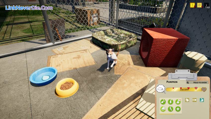 Hình ảnh trong game Animal Shelter (screenshot)