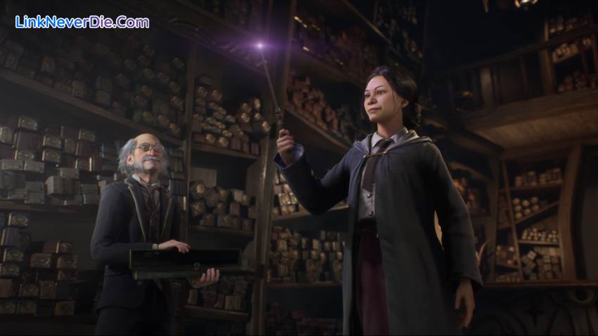 Hình ảnh trong game Hogwarts Legacy (screenshot)