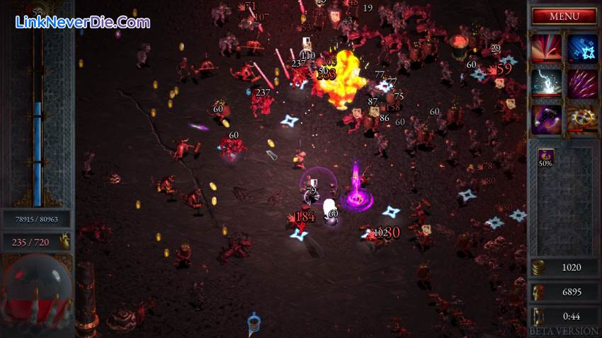 Hình ảnh trong game Halls of Torment (screenshot)