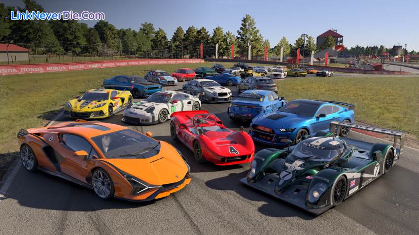 Hình ảnh trong game Forza Motorsport (screenshot)