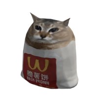 Nguyễn Gia Hòa Avatar