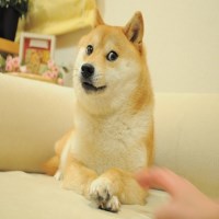 Bùi Duy avatar