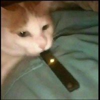 Vũ Cường avatar