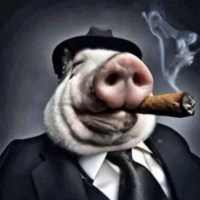 Hồ Đăng Khoa avatar