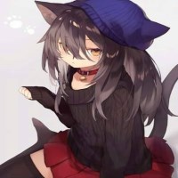 NakiriShiro avatar