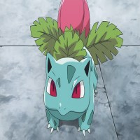 Nguyen Ich Thanh Tu avatar