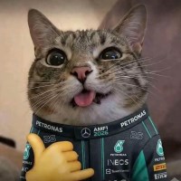 duc Avatar