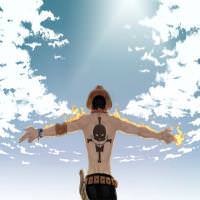 Thi Phan avatar