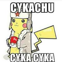 Cykachu avatar