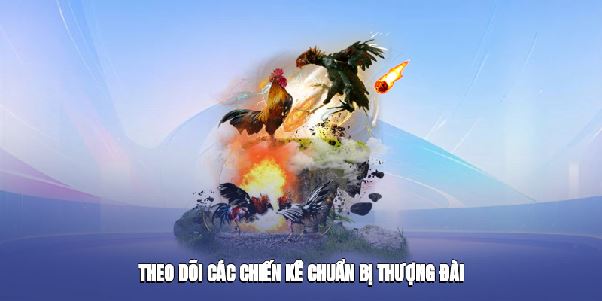 Đá Gà VT88 – Kịch Tính Từng Trận, Thắng Lớn Mỗi Ngày Năm 2025