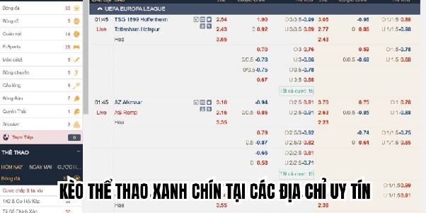Cá Cược Thể Thao Trực Tuyến - Địa Chỉ Đặt Cược Uy Tín 2025 Cá Cược Thể Thao Trực Tuyến - Địa Chỉ Đặt Cược Uy Tín 2025
