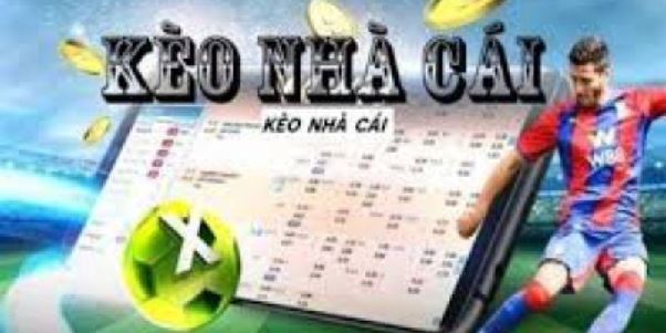 Tỷ Lệ Kèo – Kiến Thức Cơ Bản Và Kinh Nghiệm Dành Cho Người Mới