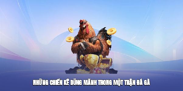 Đá Gà S8club – Tận Hưởng Những Cuộc Đối Đầu Căng Thẳng