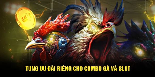Combo cược đá gà và quay nổ hũ – Tăng gấp đôi cơ hội giàu nhanh