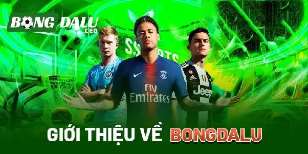 Link Vào Bongdalu: Cách Tìm Trang Theo Dõi Bóng Đá Ổn Định Link Vào Bongdalu: Cách Tìm Trang Theo Dõi Bóng Đá Ổn Định