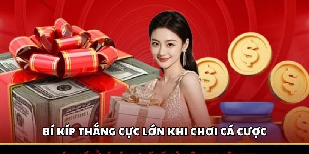 79king – Hệ Sinh Thái Cá Cược Toàn Diện, Hỗ Trợ Mọi Nền Tảng