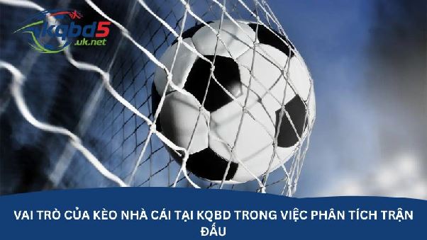 Kèo nhà cái tại kqbd – Nguồn tham khảo tỷ lệ kèo quen thuộc