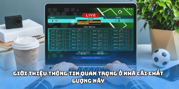 Hi88 – Nhà Cái Giải Trí Đỉnh Cao Với Hệ Sinh Thái Game Đa Dạng