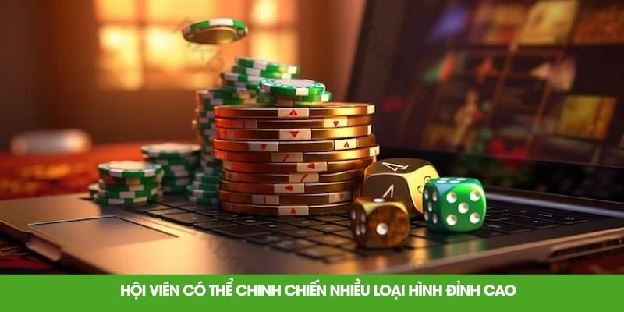 Nhà Cái FLY88 - Nơi Cá Cược Đỉnh Cao Cho Hội Viên Mới