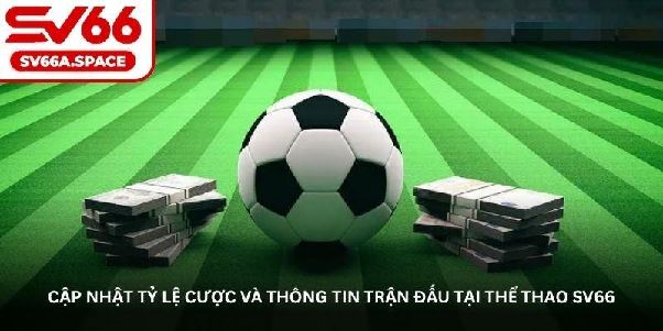 Thể thao SV66 – Nơi mọi fan bóng đá, bóng rổ đều mê mẩn Thể thao SV66 – Nơi mọi fan bóng đá, bóng rổ đều mê mẩn