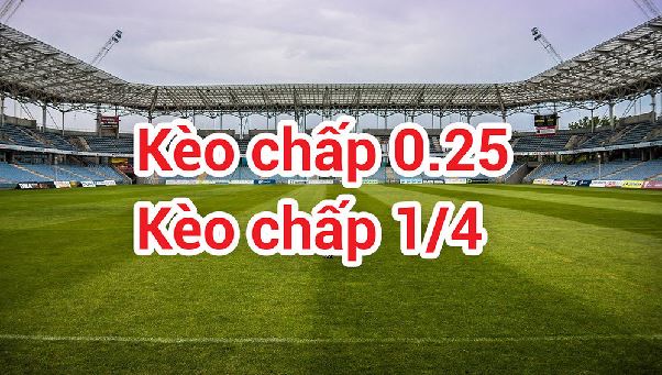 Kèo Chấp 2/4 Là Gì? Cách Đọc Và Phân Tích Tỷ Lệ Dễ Hiểu