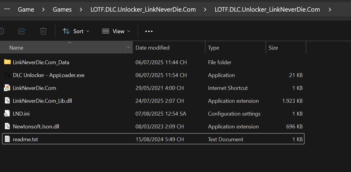 DLC Unlocker - Game Lords Of The Fallen không hoạt động