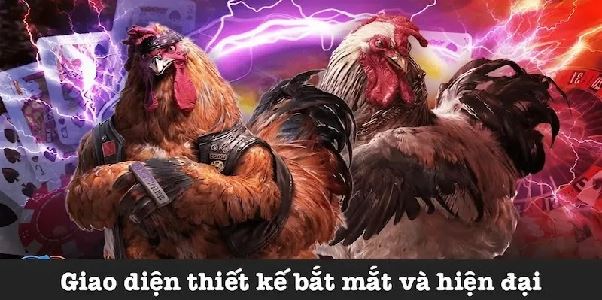 Đá Gà Cựa Sắt Fun88 Hôm Nay – Tổng Hợp Các Kiến Thức Về Đá Gà