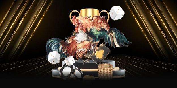 Đá gà NEW88 sân chơi cá cược kịch tính và đẳng cấp hàng đầu