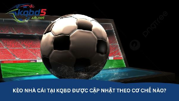 Kèo nhà cái tại kqbd – Nguồn tham khảo tỷ lệ kèo quen thuộc