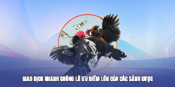 Đá Gà VT88 – Kịch Tính Từng Trận, Thắng Lớn Mỗi Ngày Năm 2025