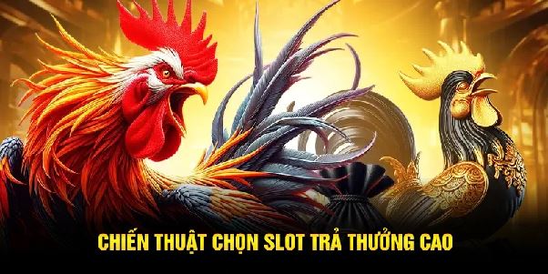 Combo cược đá gà và quay nổ hũ – Tăng gấp đôi cơ hội giàu nhanh