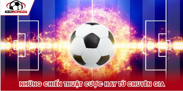 Kèo Chấp Score Box - Hướng Dẫn Cách Chơi Và Mẹo Cược Dễ Hiểu