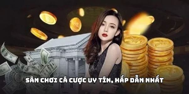 Giới Thiệu net88 Nhà Cái Cá Cược Hàng Đầu Việt Nam