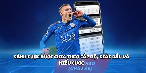 CÁ ĐỘ BÓNG ĐÁ - Vào Mùa World Cup Với Tỷ Lệ Kèo Cực Mạnh