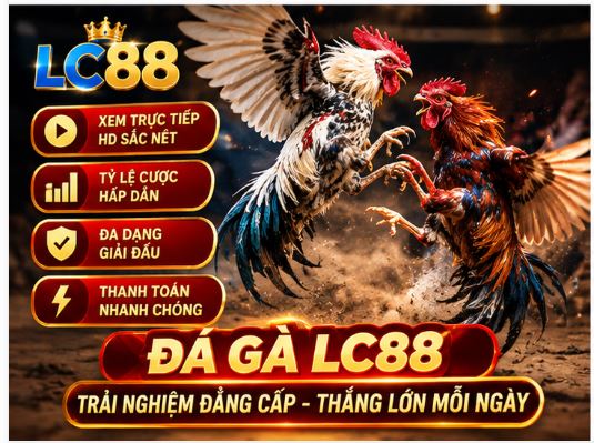 Đá gà LC88 và cách theo dõi nhịp trận dành cho người mới