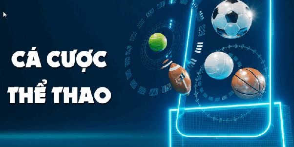 Đánh Giá Thể Thao FB88 – Trải Nghiệm Thực Tế Từ Người Chơi