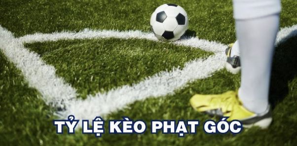Cách phân tích tỷ lệ cược phạt góc hiệu quả nhất năm 2026