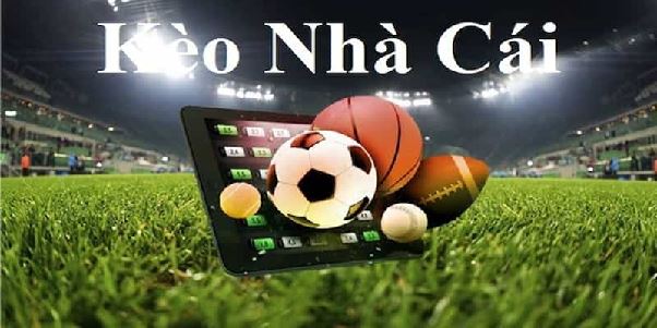 Kèo Nhà Cái Là Gì? Hiểu Đúng Để Cá Cược Hiệu Quả