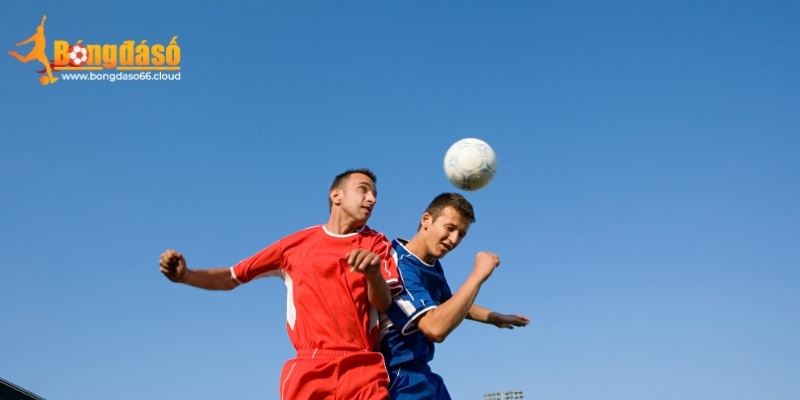 Bongdaso66 - Công Cụ Đọc Kèo Bóng Đá Cho Cược Thủ 2026 Bongdaso66 - Công Cụ Đọc Kèo Bóng Đá Cho Cược Thủ 2026