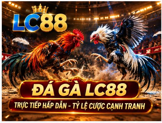 Đá gà LC88 và cách theo dõi nhịp trận dành cho người mới
