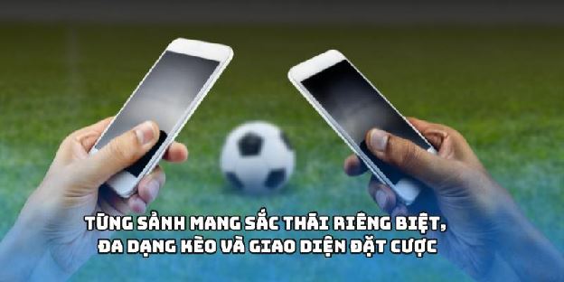 TỶ LỆ CÁ CƯỢC - Vũ Khí Bí Mật Lội Ngược Dòng Đỉnh Cao 2025