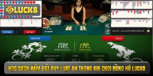 Rồng Hổ Luck8 - Sân Chơi Đỏ Đen Bậc Nhất Hiện Nay