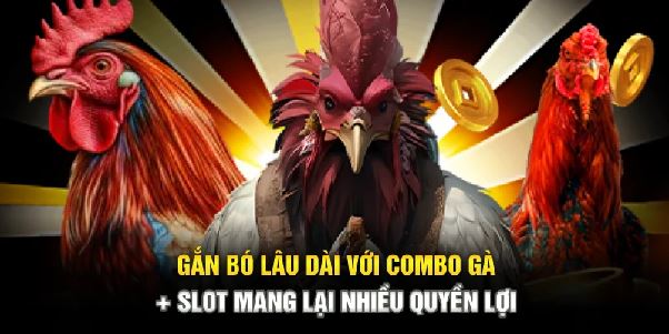 Combo cược đá gà và quay nổ hũ – Tăng gấp đôi cơ hội giàu nhanh