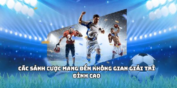 CÁ ĐỘ BÓNG ĐÁ - Khám Phá Đam Mê Cùng Nhà Cái Top 1 Việt Nam