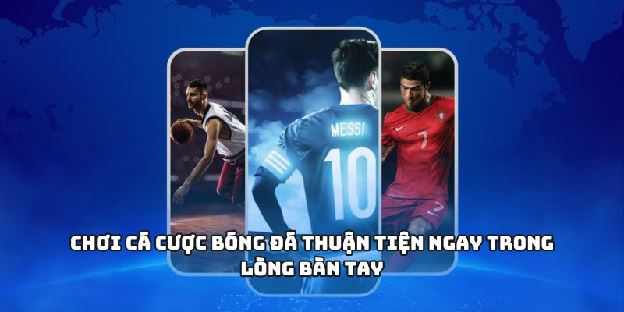 CÁ ĐỘ BÓNG ĐÁ Trên Di Động, Ứng Dụng Tiện Lợi Mỗi Ngày