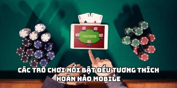 net88 - Đặt Cược An Toàn Trên Nền Tảng Web Và App Di Động