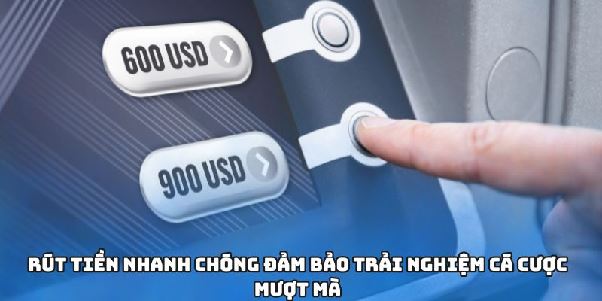 Shbet - Nơi Cá Cược Lý Tưởng Cho Cả Người Mới Và Cao Thủ