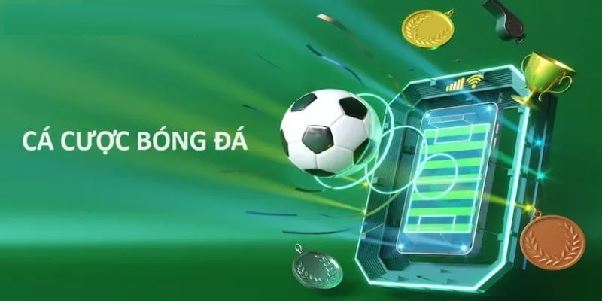 Đánh Giá Thể Thao FB88 – Trải Nghiệm Thực Tế Từ Người Chơi